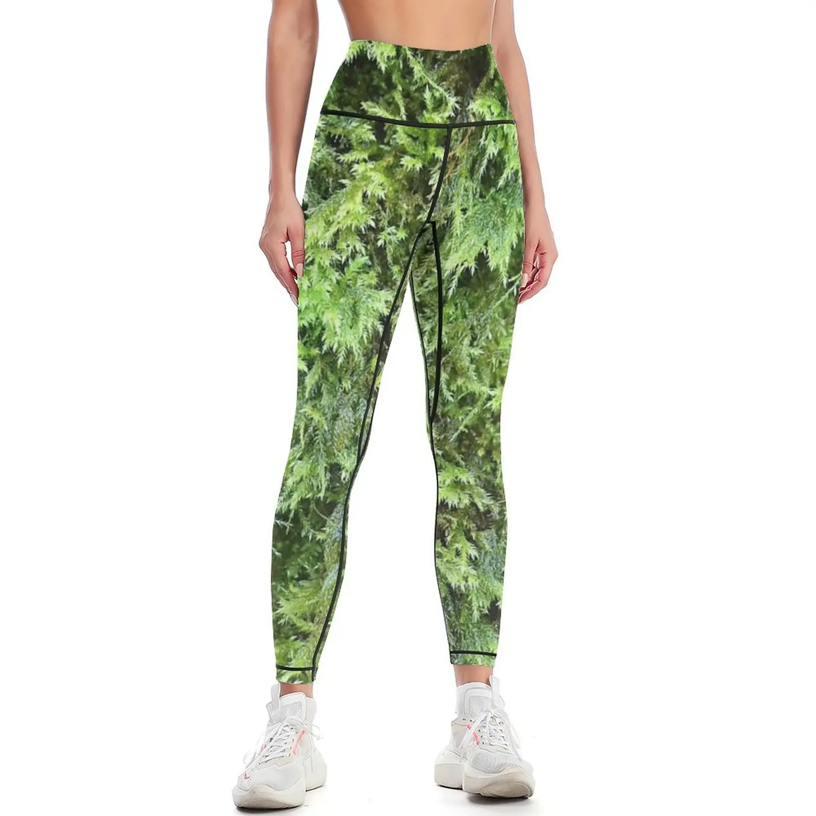 Photography Yoga - Fotografia di muschio 1 Leggings Pantaloni