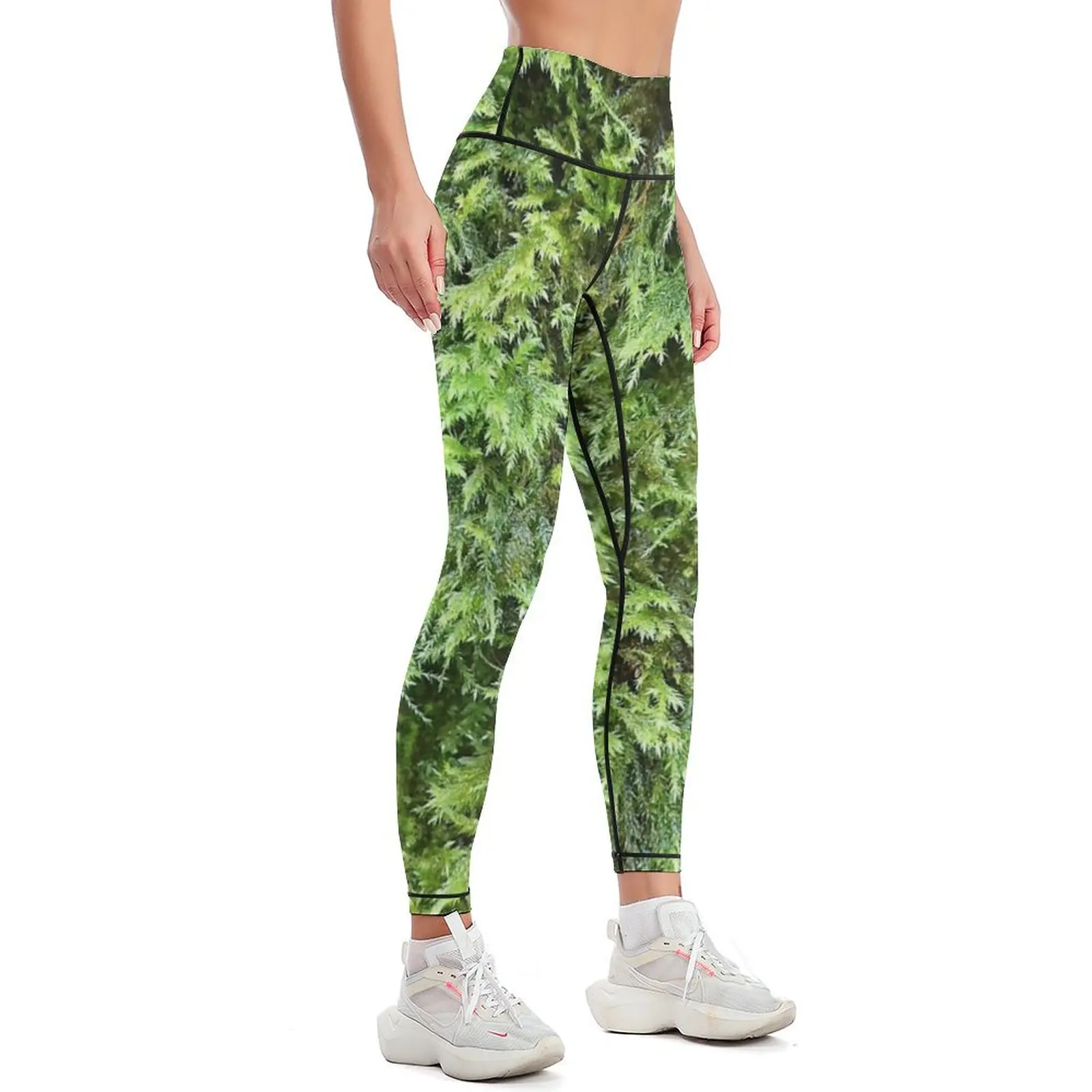 Fotografia di muschio 1 Leggin - Photography Yoga recensione e prezzo