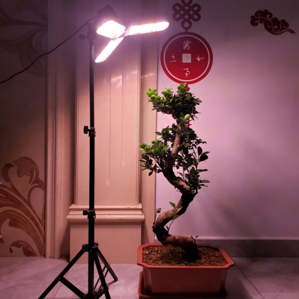 Portalampada 2M, attacco CA E2 - Photography Umbrella recensione e prezzo