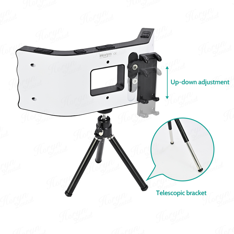 Kit fotografico dentale torcia - Photography Umbrella Lighting Kit recensione e prezzo