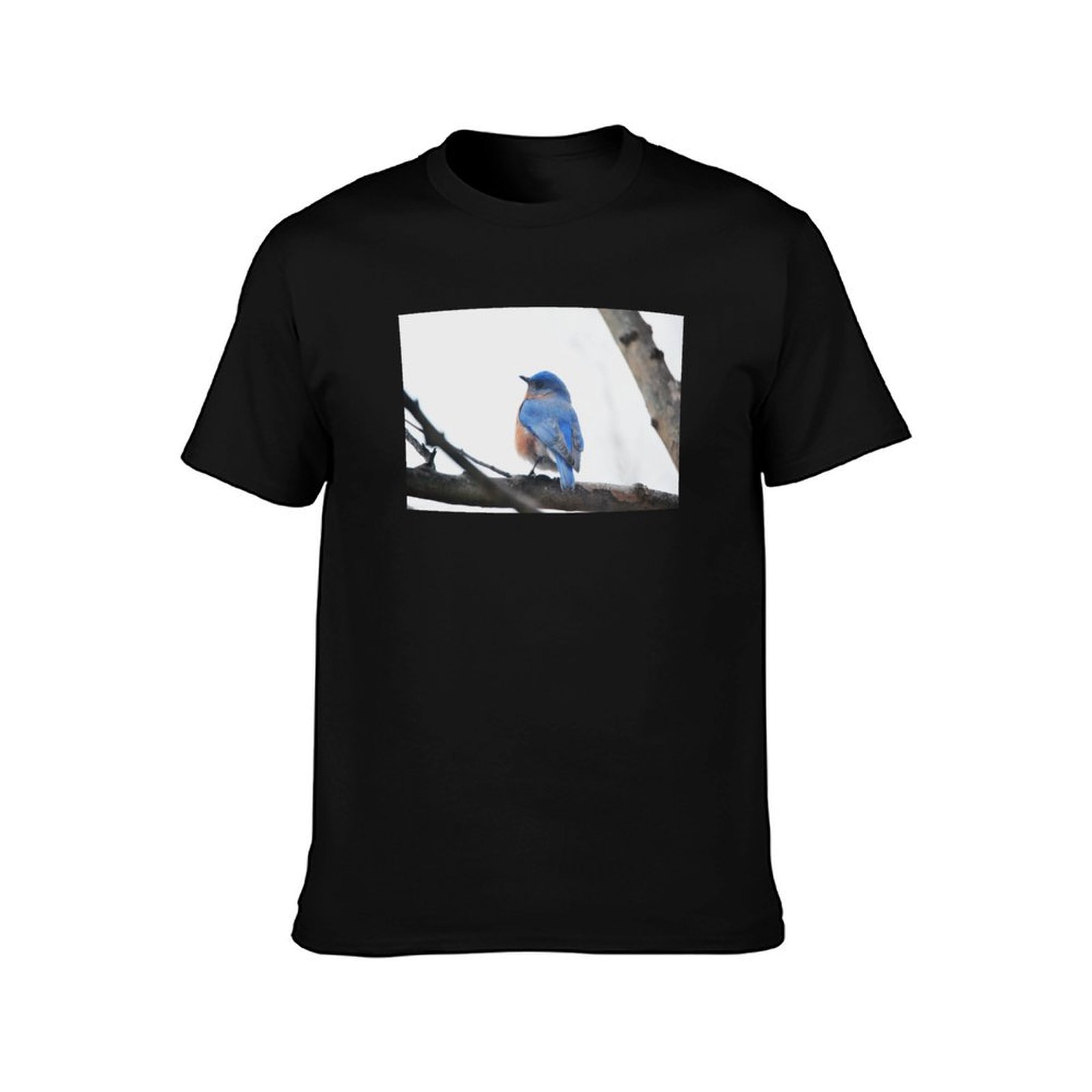 T-shirt da uomo per fotografia - Photography Training recensione e prezzo
