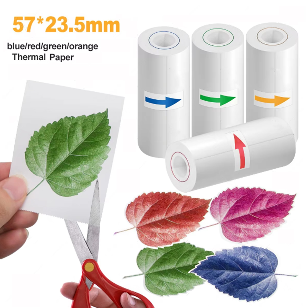 Carta Termica 57mm per Stampan - Photography Paper recensione e prezzo